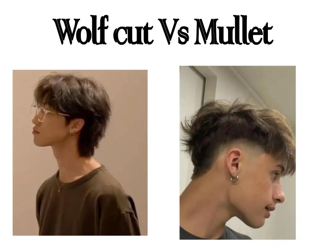 wolf cut vs mullet