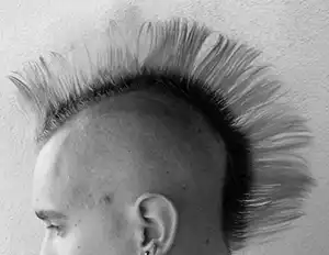 The Appeal of Fanned Mohawks