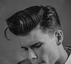 Pompadour with Low Fade