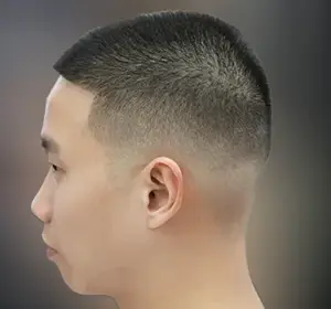 Butch Haircut with Temple Fade