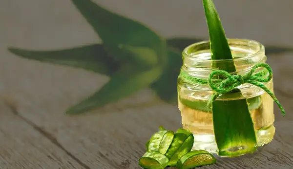 Aloe vera gel