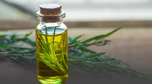 Rosemary oil